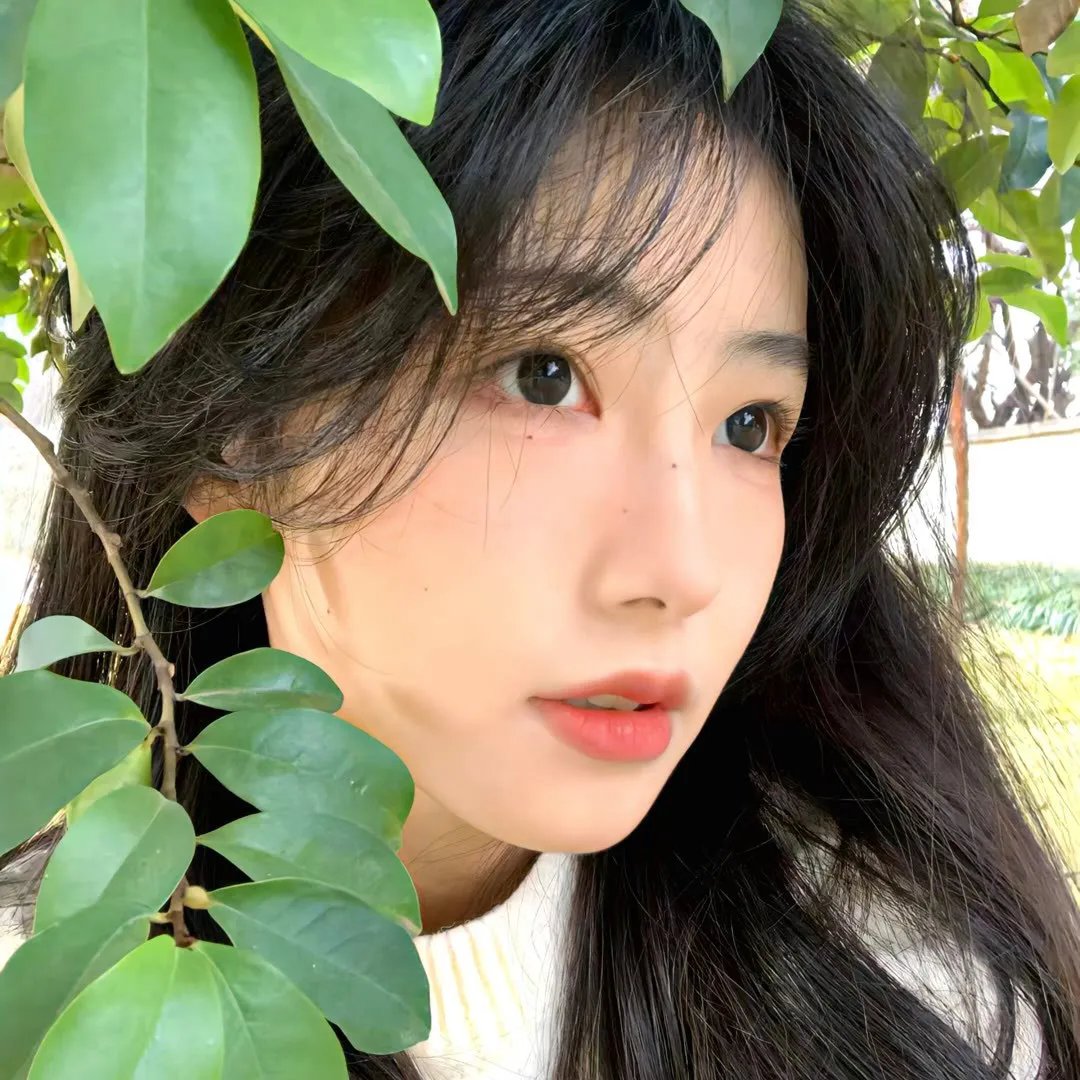 嚎叫